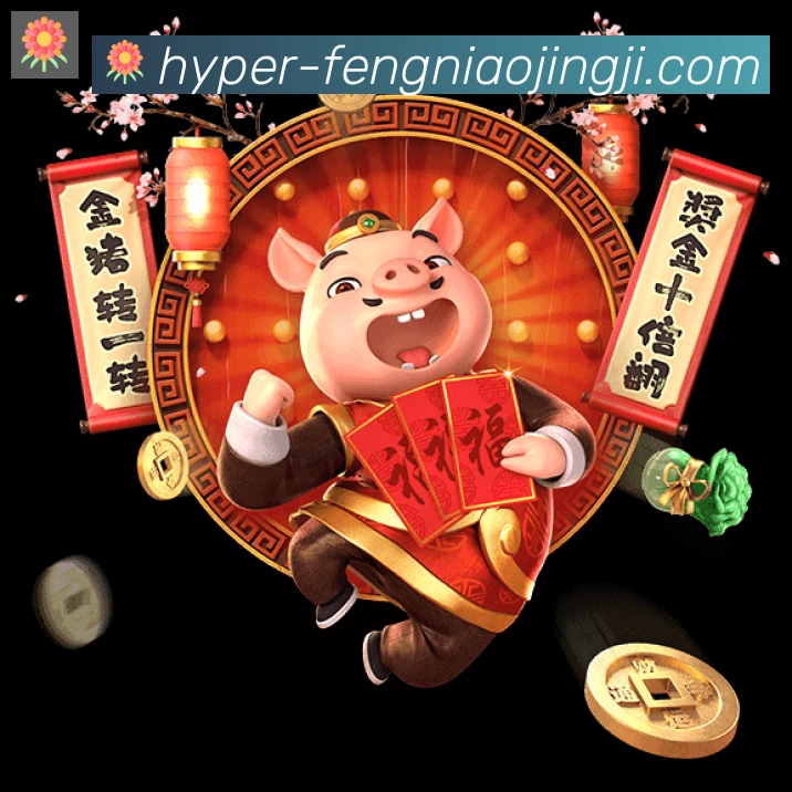 体育数据展示